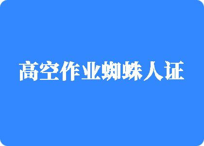 大鸡巴操的骚肉老熟女直叫爽高空作业蜘蛛人证